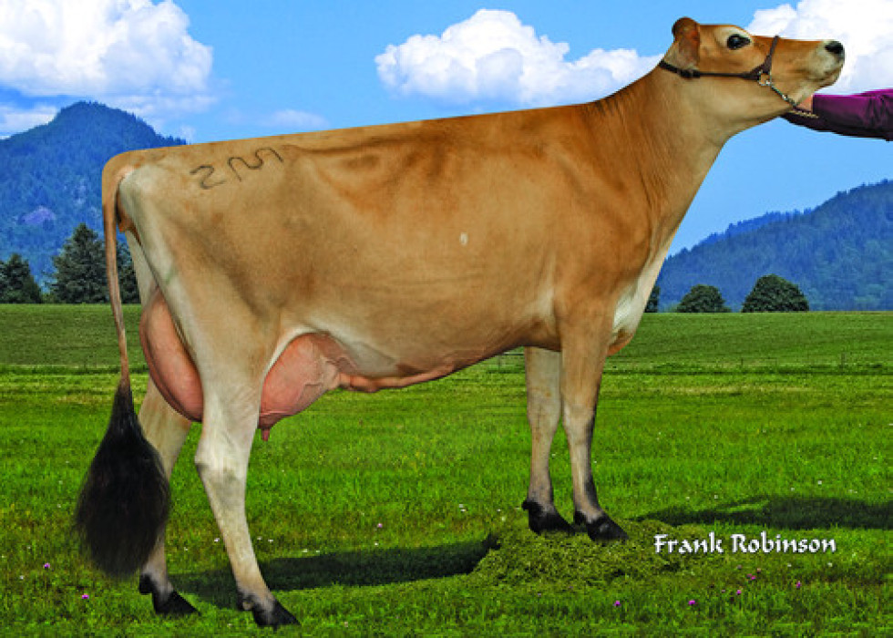 Imagem de JELLY (Sexado)
