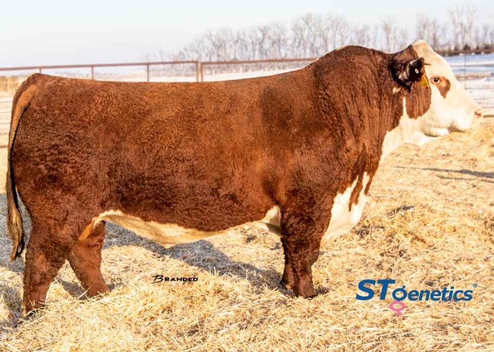 Imagem de MASTERPLAN