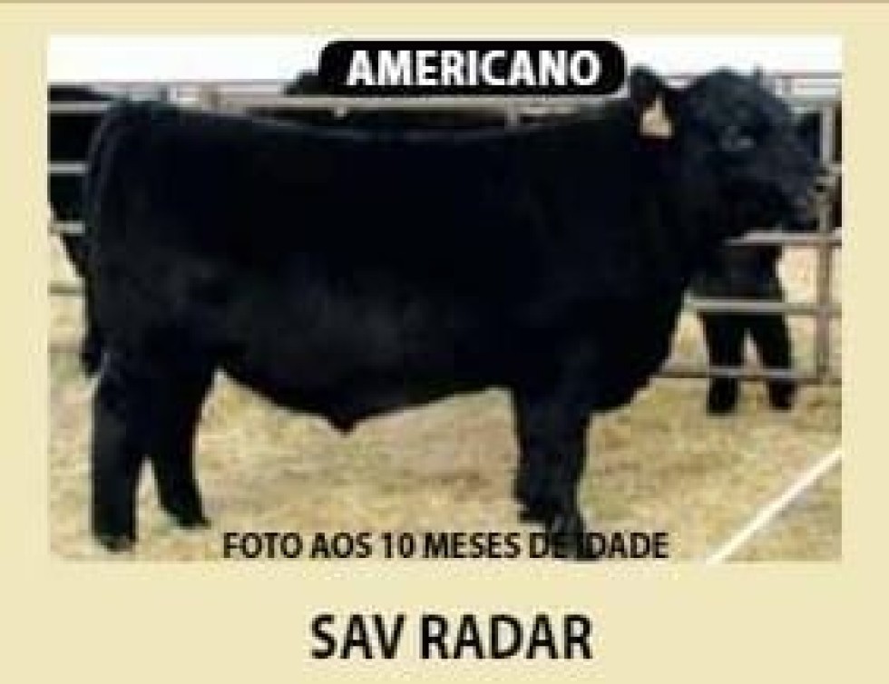 Imagem de SAV RADAR