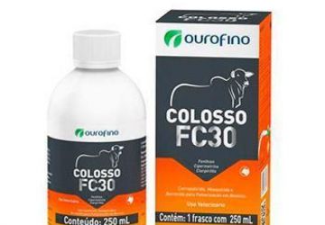Colosso FC-30